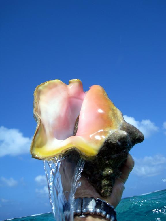 Caye Reef Condos Caye Caulker Exteriér fotografie